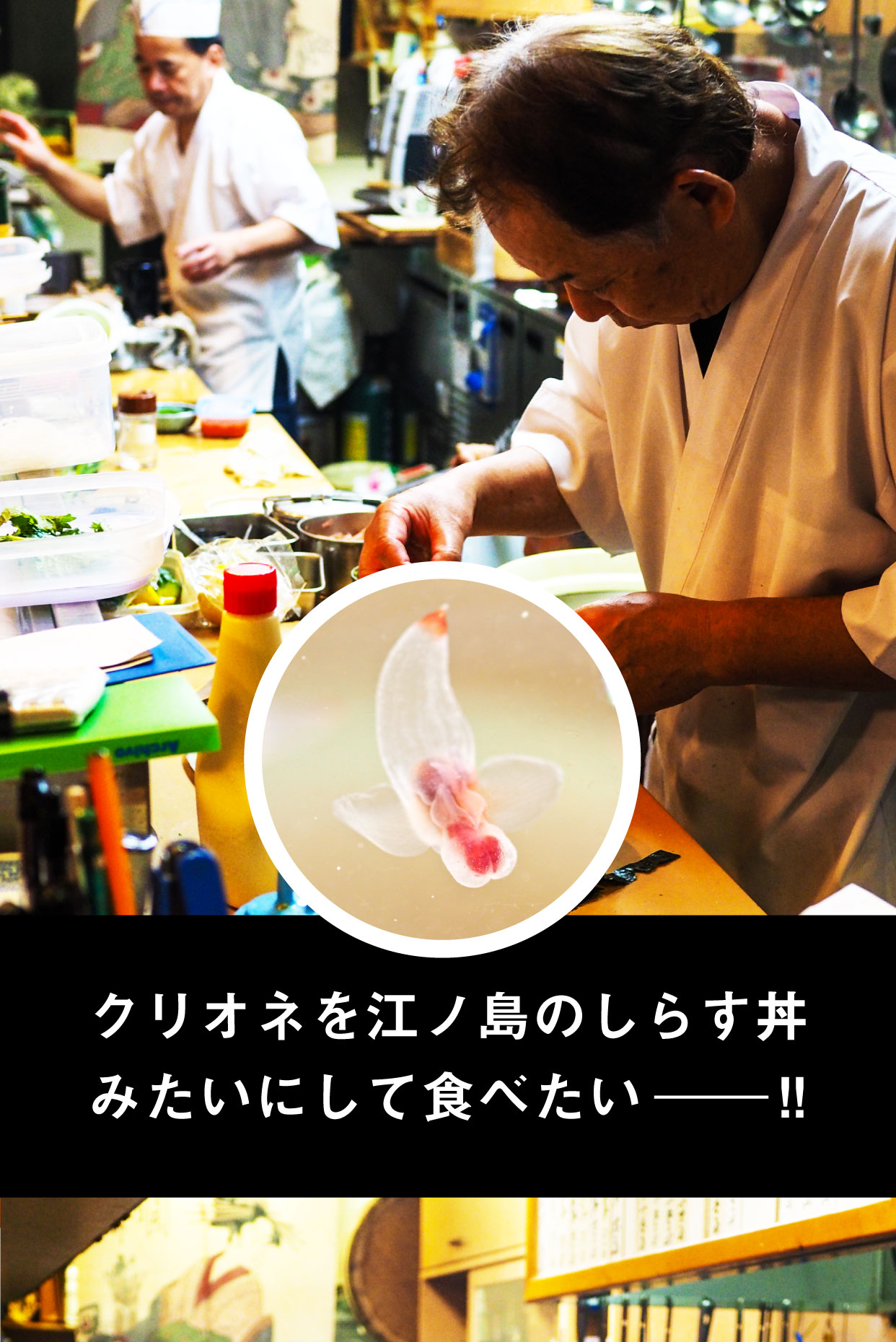 クリオネを江ノ島のしらす丼みたいにして食べたい