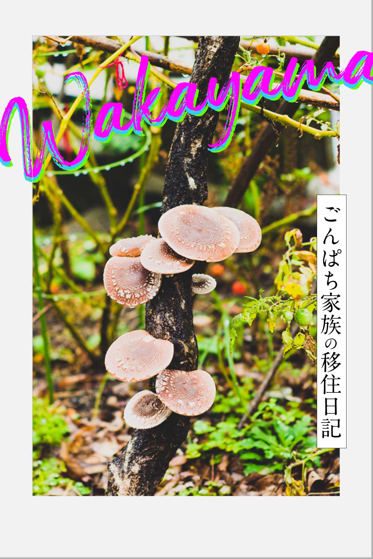 とねちゃん！軽トラいらん？田舎は驚くほど色々いただきます。