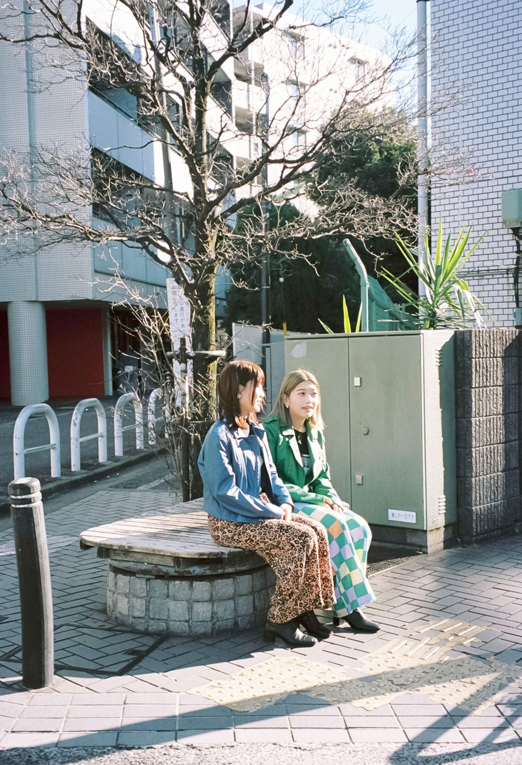 https://www.beyondmag.jp/wp-content/uploads/2024/03/844_45910016.jpg