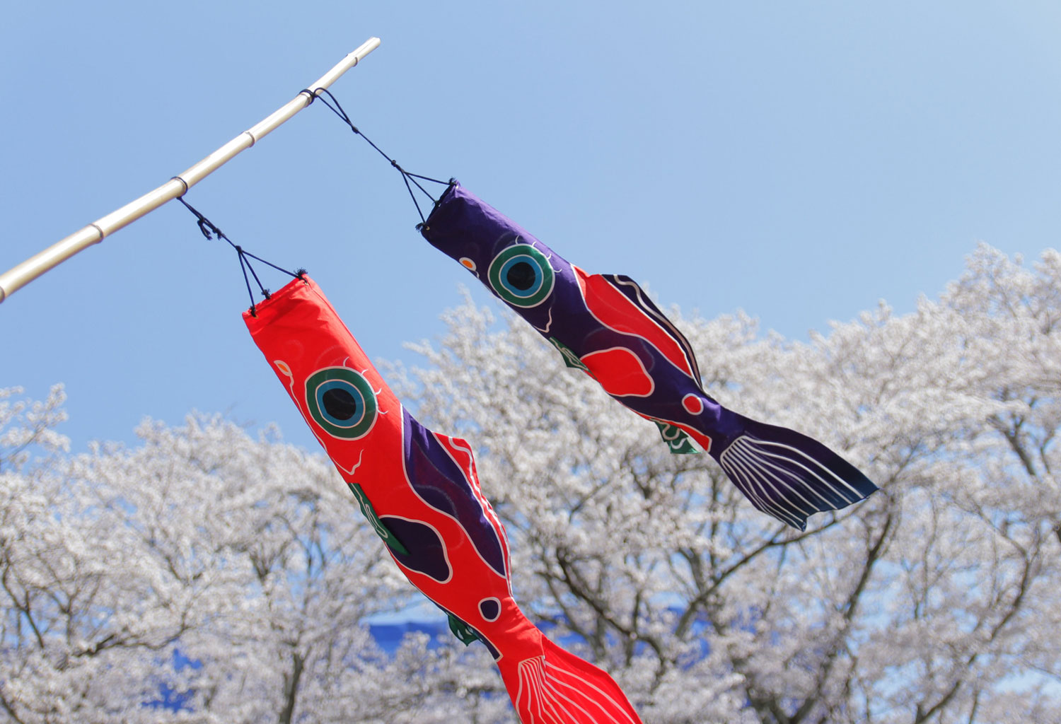 https://www.beyondmag.jp/wp-content/uploads/2024/03/862_eiei2.jpg