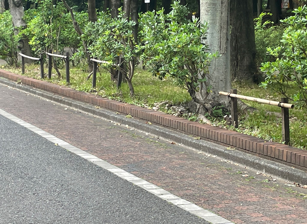 https://www.beyondmag.jp/wp-content/uploads/2024/07/909_IMG_8969.jpg