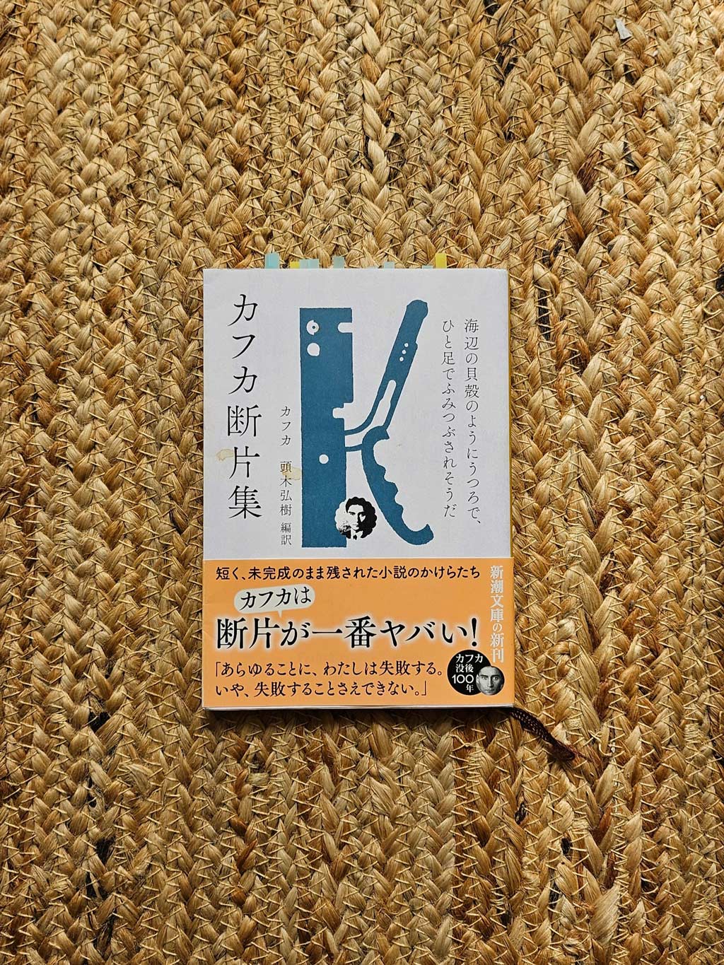 https://www.beyondmag.jp/wp-content/uploads/2024/08/895_20240726_091258.jpg