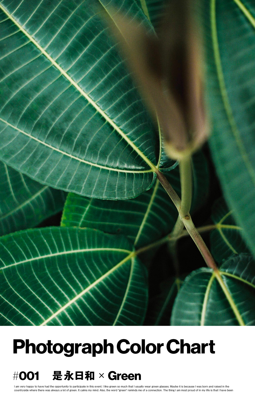 「緑」がつなぐ「縁」。是永日和×Green