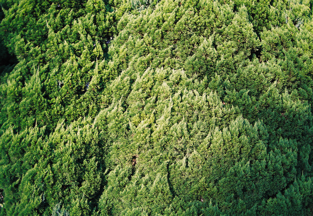 https://www.beyondmag.jp/wp-content/uploads/2024/10/933_01.jpg