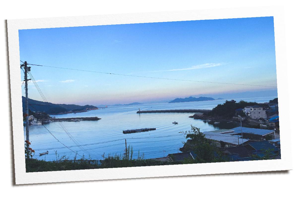https://www.beyondmag.jp/wp-content/uploads/2024/10/photo_06.png