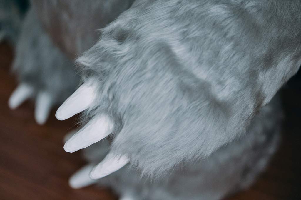 https://www.beyondmag.jp/wp-content/uploads/2024/11/948_img4501_nouhin.jpg