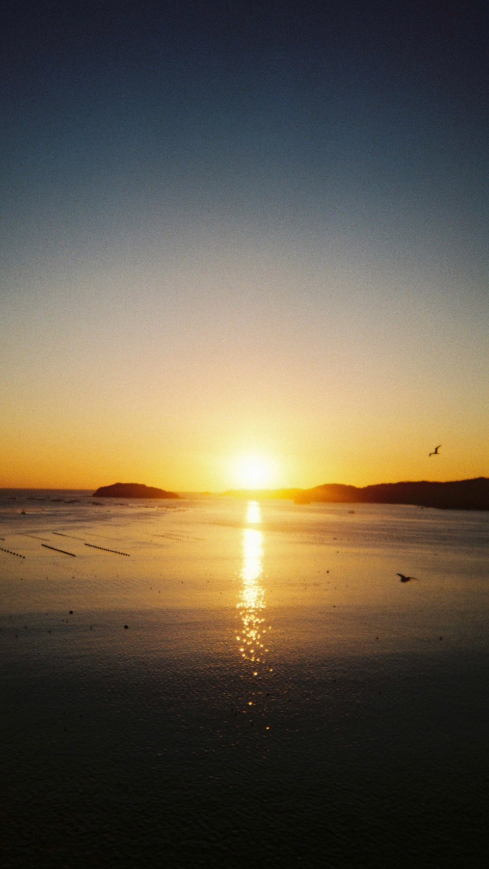 https://www.beyondmag.jp/wp-content/uploads/2024/11/958_02-1.jpg