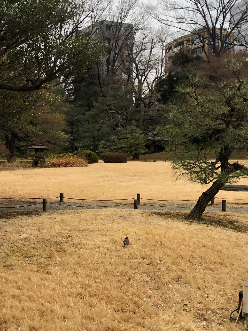 https://www.beyondmag.jp/wp-content/uploads/2025/03/1050_4Beyond-mag10.jpg