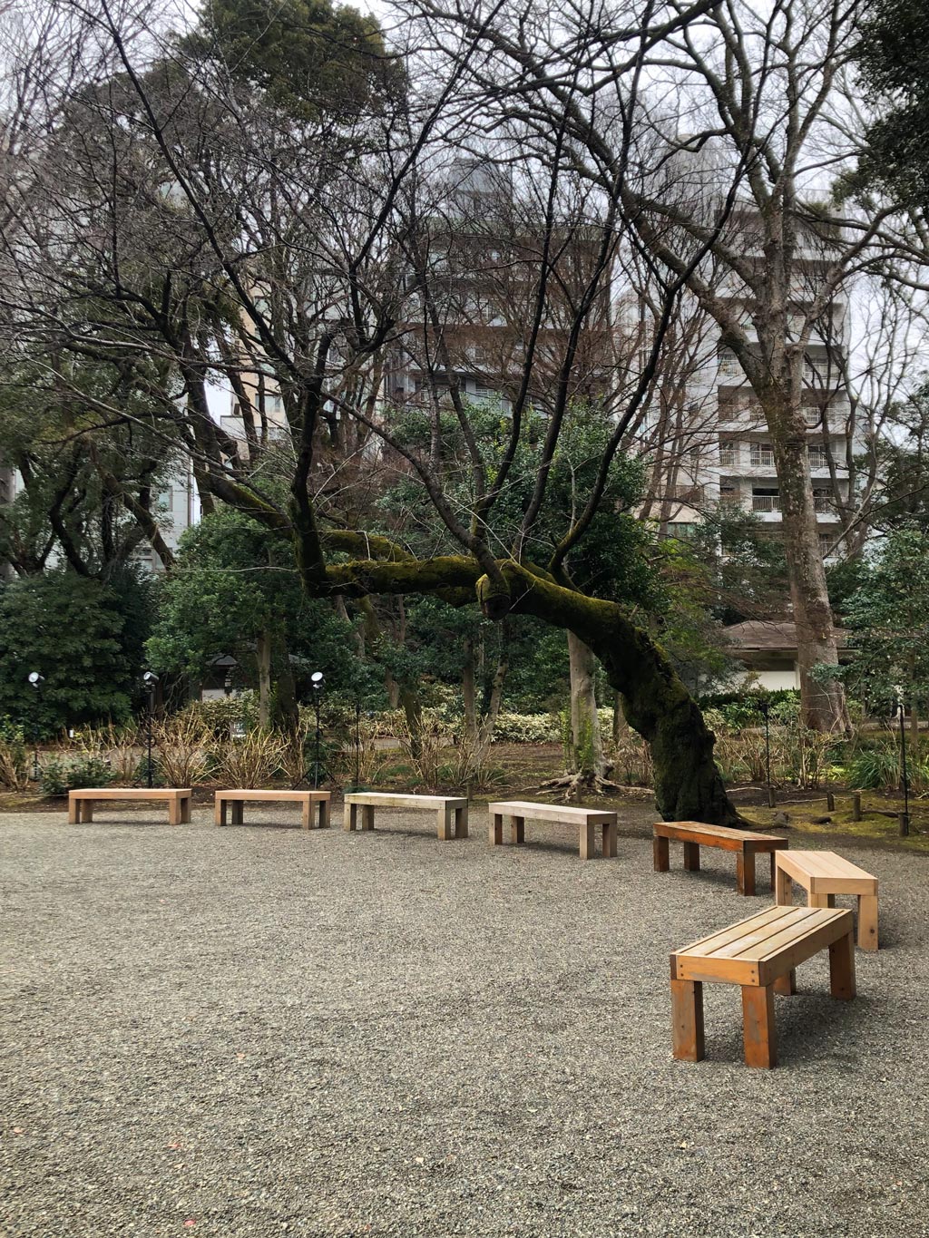 https://www.beyondmag.jp/wp-content/uploads/2025/03/1050_4Beyond-mag9.jpg