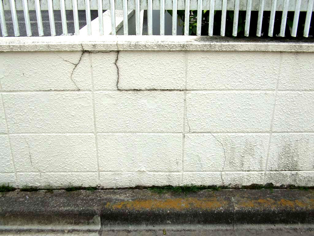 https://www.beyondmag.jp/wp-content/uploads/2025/05/1048_DSCF6618-EDIT.jpg