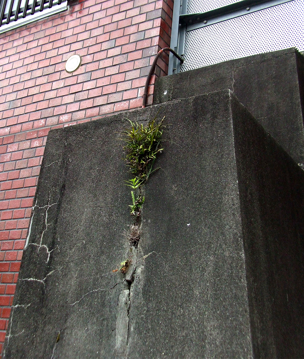 https://www.beyondmag.jp/wp-content/uploads/2025/05/1048_DSCF6633-EDIT2.jpg