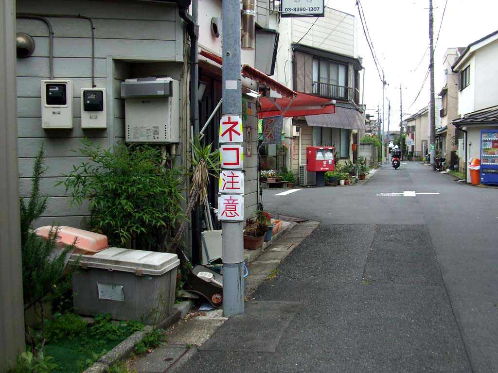https://www.beyondmag.jp/wp-content/uploads/2025/05/1048_DSCF6649-EDIT.jpg