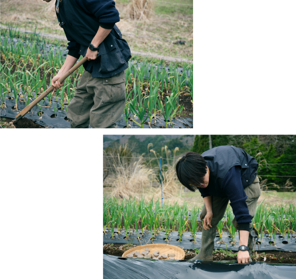https://www.beyondmag.jp/wp-content/uploads/2025/05/1079-組み写真_001.png